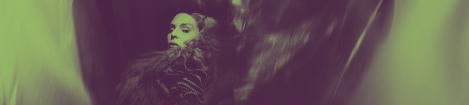 The Gift Estadia e Concerto