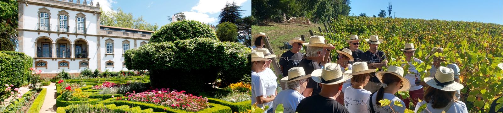 Programa de Vendimias