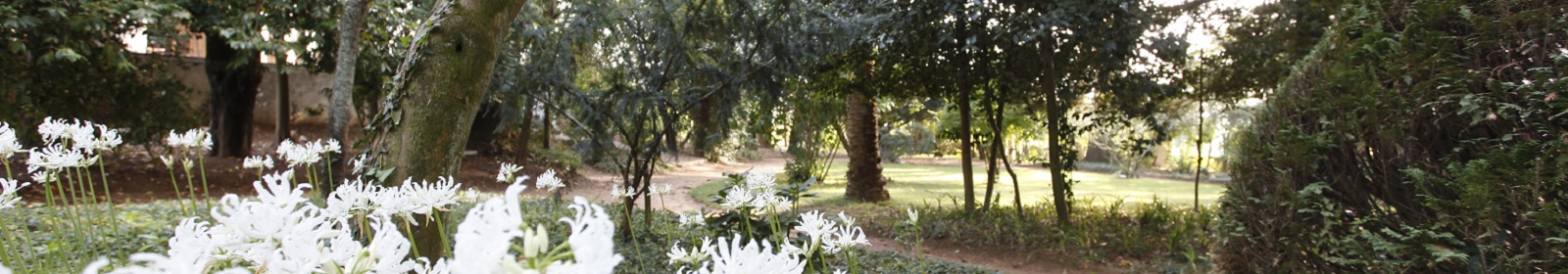 Roteiros Casa da Ínsua