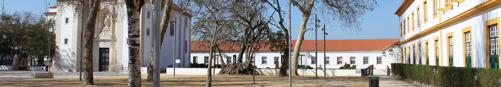 Visita ao Museu Vista Alegre
