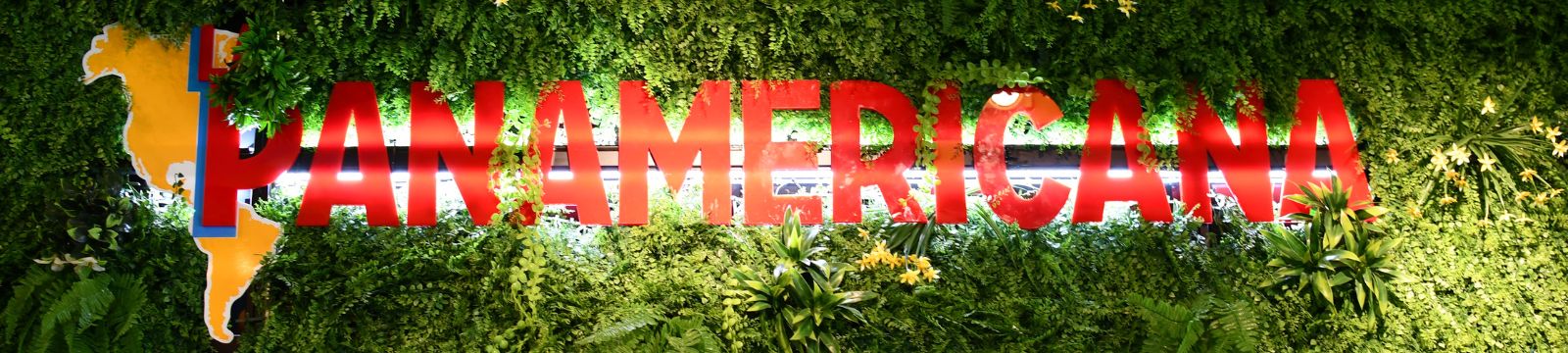 La Panamericana