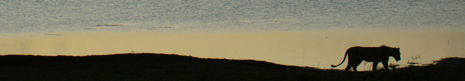 Safaris & Excursões