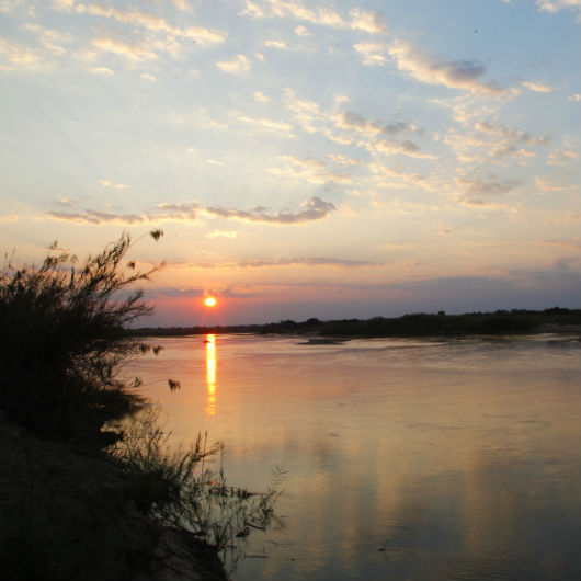 Boat Safaris Boat Safaris