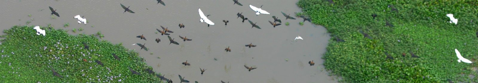 Parque Nacional da Gorongosa