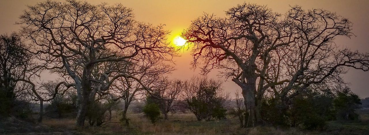 Gorongosa sunset