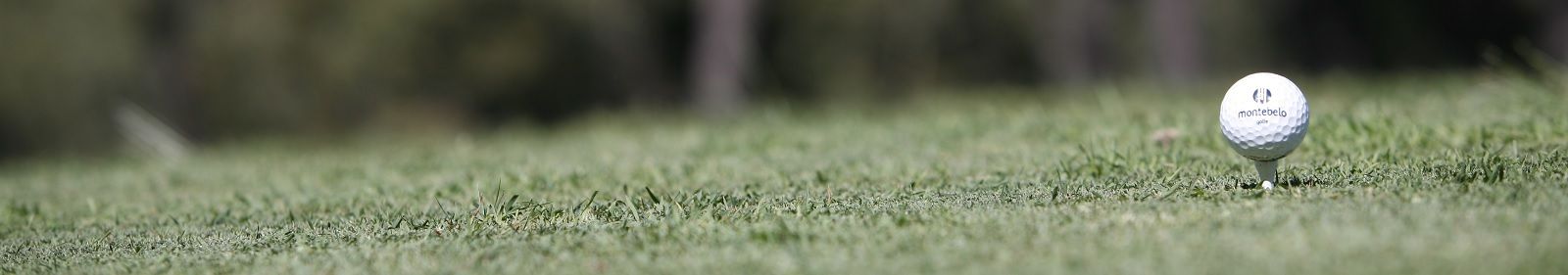 Golfe